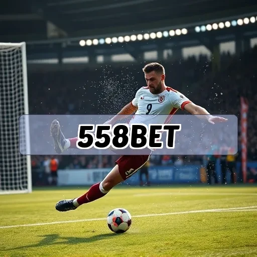 558bet.com: O Que Você Precisa Saber sobre Perguntas Frequentes