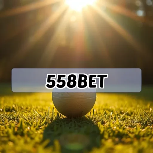 558bet.com: Descubra Funcionalidades Imperdíveis na Minha Conta
